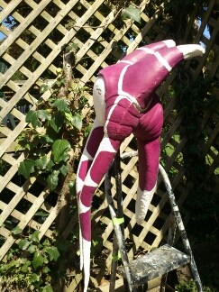 DSC_5264.jpg image