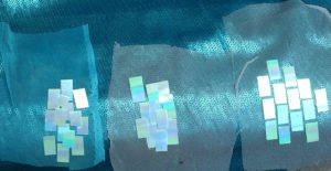 sm_DSC_2717