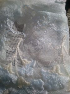 sm_dsc_0898